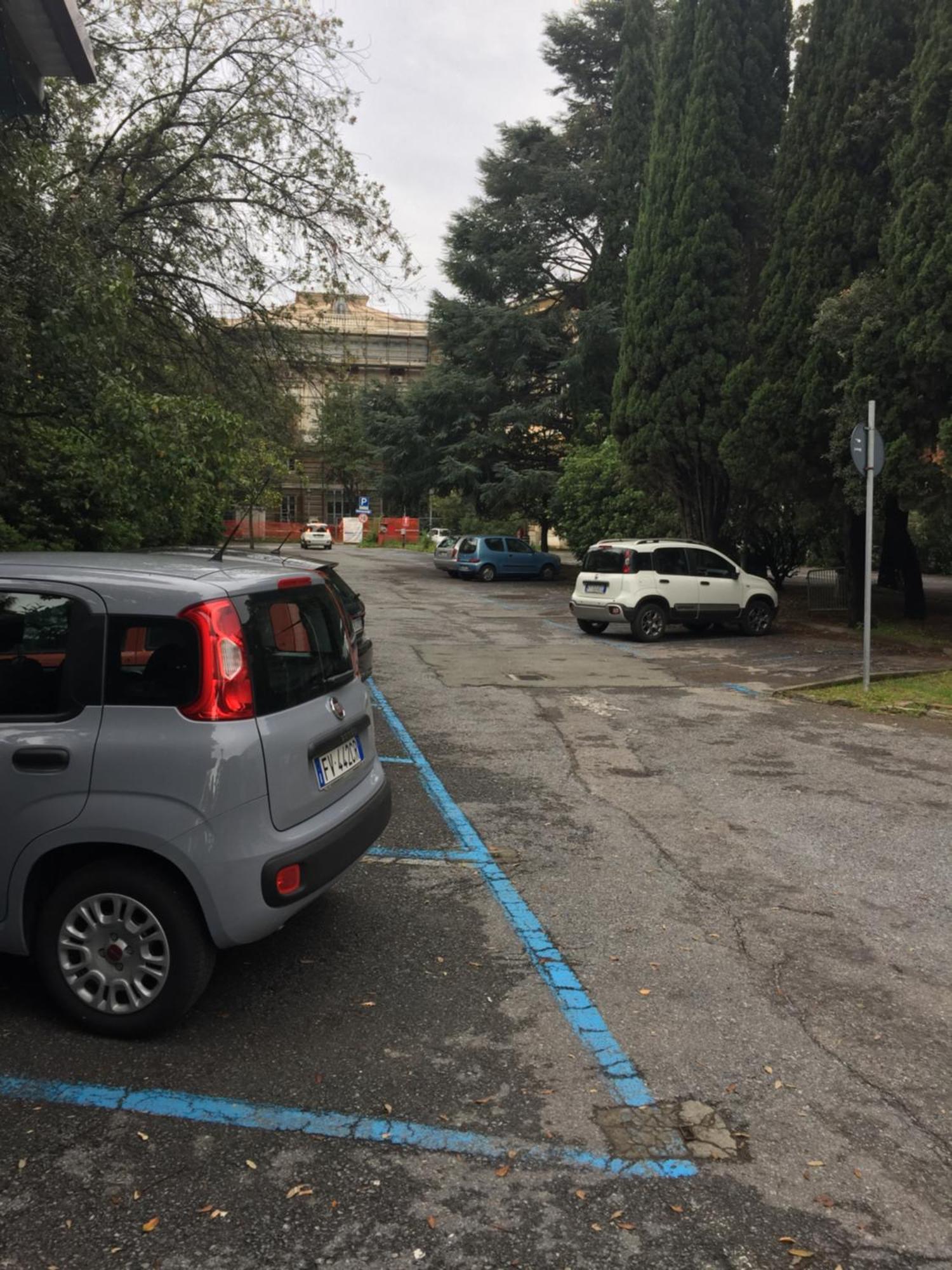 Appartamento In Centro Zona Fiera,Davanti Al Galliera Genova Esterno foto